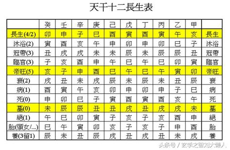 八字冠帶|八字十二長生解讀——胎、養